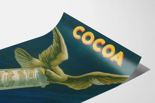 cocoa