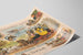 Vintageposter D. Rosenberg & Sons Standard Vagnlackeringar New York — vy av konstverket