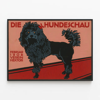 die-hundeschau-februar-1908-verein-hektor