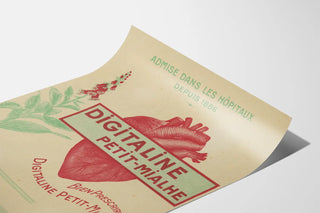 digitaline-petit-mialhe