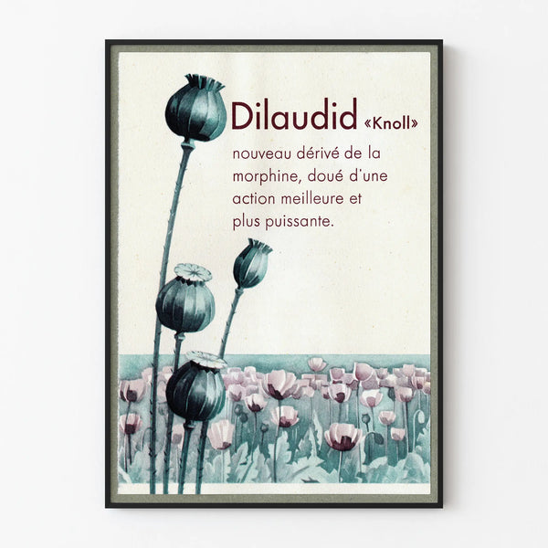 dilaudid