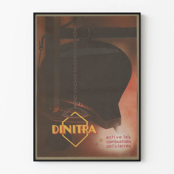 dinitra-2