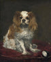 En King Charles spaniel - Édouard Manet — vy av konstverket
