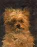 Tête du chien Bob - Édouard Manet — vy av konstverket