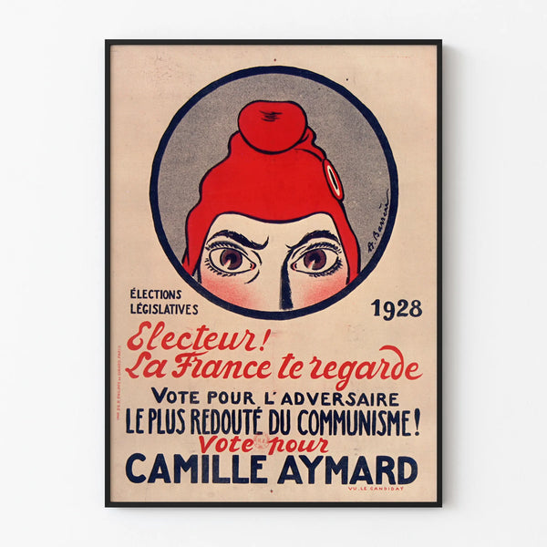 electeur-la-france-te-regarde