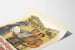 Evenemangsposter Emmentalisches Schwingfest Heimiswil 1951