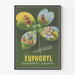 Vintageposter Euphoryl Desensibilisering Mångsidig