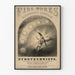 Vintageposter Fireworks Sanderson & Lanergan Pyrotekniker