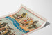 Vintageposter med sjölejon- och sälartrupp Forepaugh & Sells Brothers