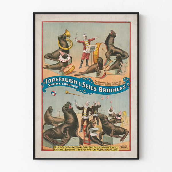 forepaugh-sells-brothers-shows-combined-the-great-and-only-troupe-of-marvelously-educated-sea-lions-seals