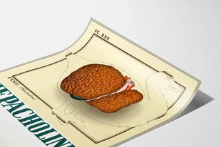 Vintage medicinsk affisch med illustration av levern