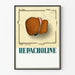 Vintage medicinsk affisch med illustration av levern