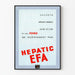 Vintageposter Hepatic EFA Väggdekoration Retro