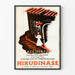 Vintageposter Hirudinase – Retro medicinsk väggdekoration