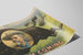 Vintageposter I Am Coming Colonel W.F. Cody — vy av konstverket