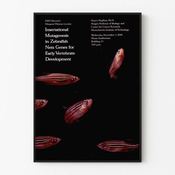 insertational-mutagenesis-in-zebrafish-nets-genes-for-early-vertebrate-development