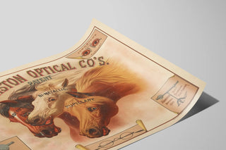 johnston-optical-cos