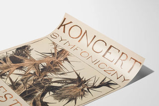 koncert-symfoniczny-orkiestry-harmonii
