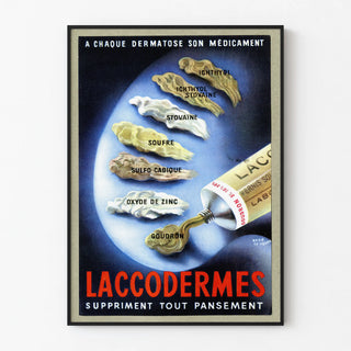 laccodermes-2