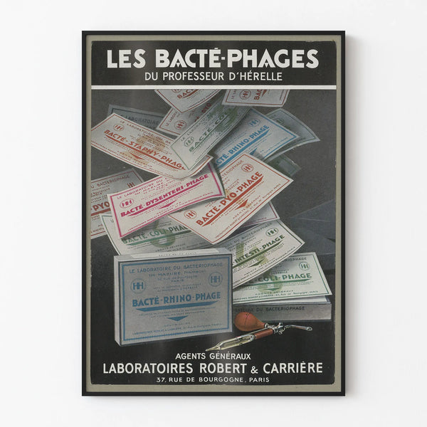 les-bacte-phages-du-professeur-dherelle