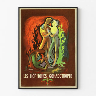 les-hormones-gonadotropes