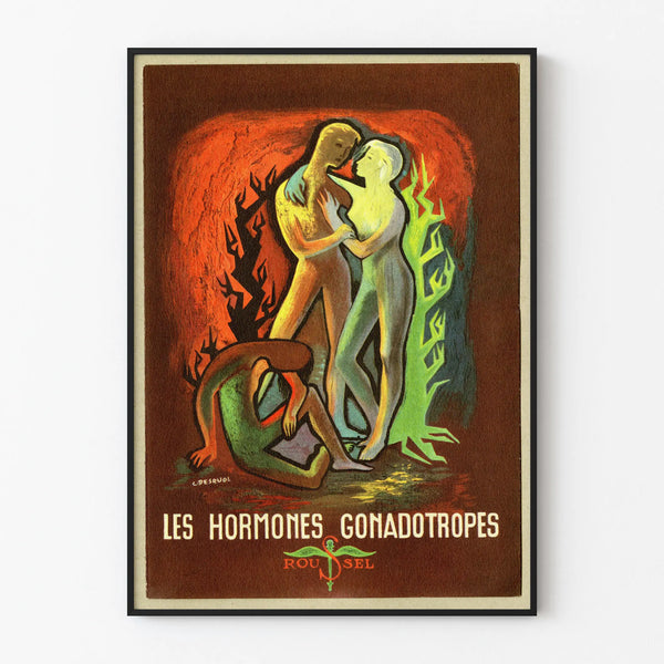 les-hormones-gonadotropes
