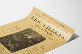 les-vierges-de-la-foret
