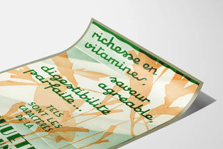 morrhuetine-2