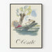 Vintageposter Obesitas illustration kanotpaddling
