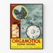 Vintageposter för Organotiol Svavel Naturlig Väggdekoration Vetenskap