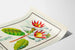 Vintage botanisk poster med blomma Strophanthus gratus Ouabaïne Arnaud