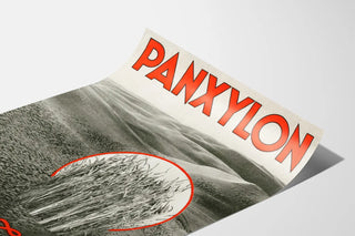 panxylon-5
