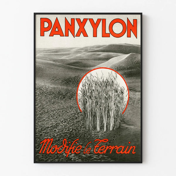 panxylon-5