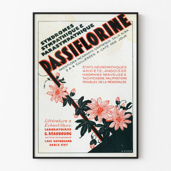 passiflorine-4