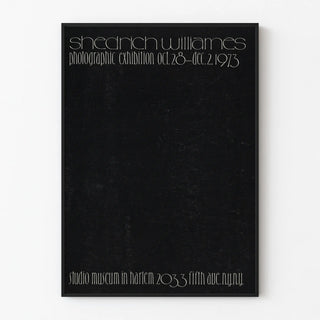 photographic-works-by-shedrich-williames-exhibition-at-the-studio-museum-in-harlem