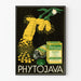 Vintage reklamposter för Phytojava naturläkemedel