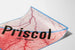 Vintageposter Priscol - Retro medicinsk väggdekoration