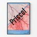 Vintageposter Priscol - Retro medicinsk väggdekoration