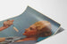 Vintage reklamposter för macaroni Rivoire & Carret
