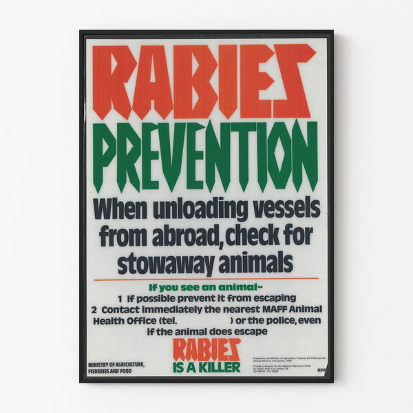 rabies-prevention