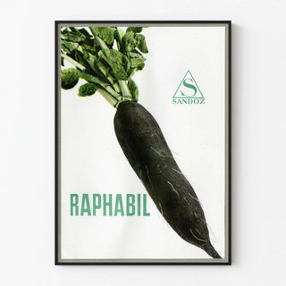 raphabil-3