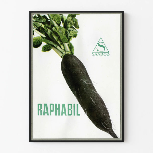 Vintageposter av svart rädisa Raphabil Sandoz för väggdekoration