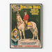 Vintageposter Ringling Bros - Silver King-hästen monterad av John O'Brien