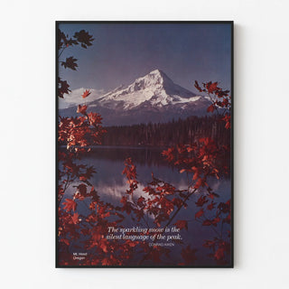 scenically-yours-the-sparkling-snow-is-the-silent-language-of-the-peak-mt-hood-oregon