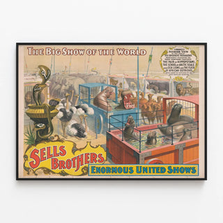 sells-brothers-enormous-united-shows-correct-interior-view-of-the-great-five-continent-menagerie