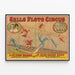 Vintageposter Sells Floto Circus - The Flying Wards med Miss Mamie Ward — inramlat konstverk på väggen