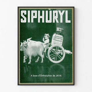 siphuryl-4