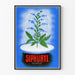 Vintage dekorativ poster Siphuryl Diurèse