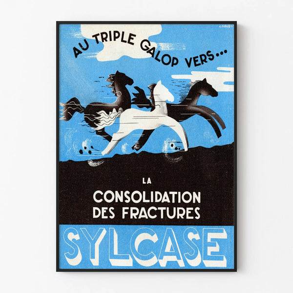 sylcase-3