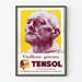 Vintage reklamposter för Tensol mot tidig åldrande